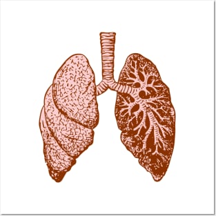 lungs Posters and Art